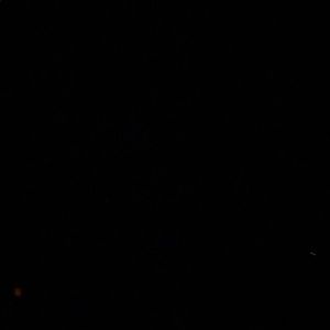 Meet your Posher, Jerrod